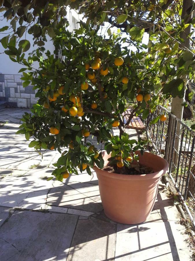 Apartma Bajci Ajdovščina Екстериор снимка